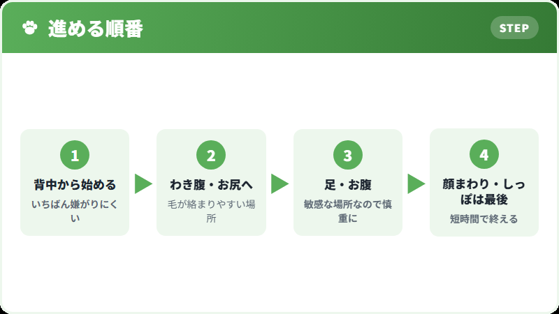 ブラッシングを進める順番