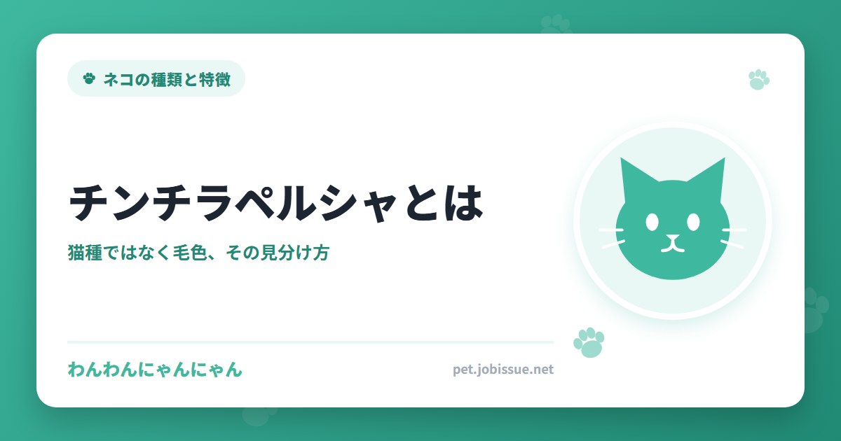 チンチラペルシャとは