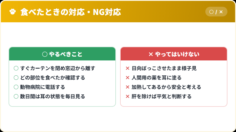 猫がサザエを食べたときの正しい対応とNG対応
