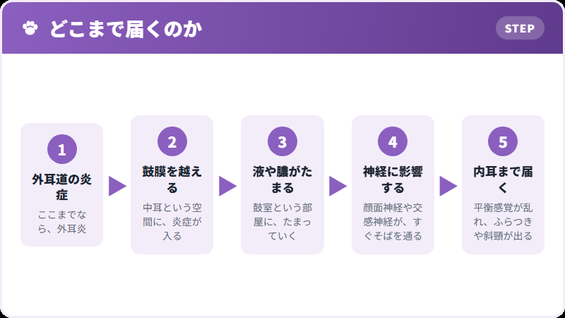 奥へ進む流れ