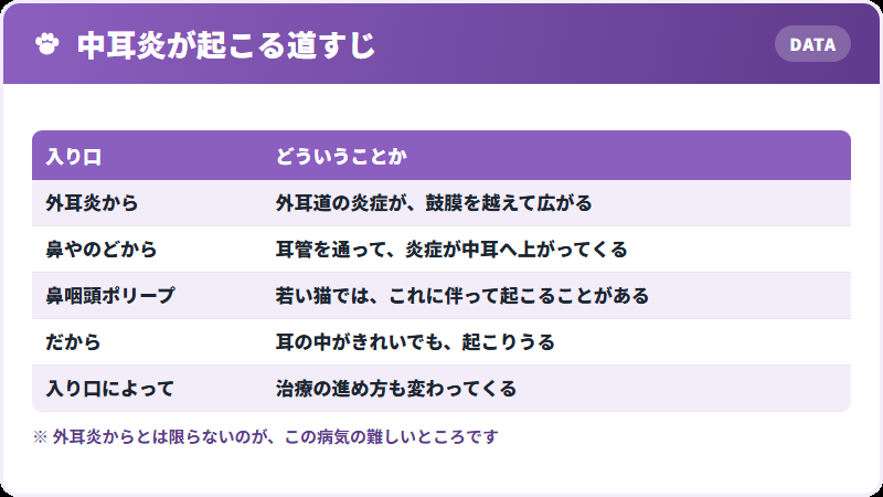 三つの入り口