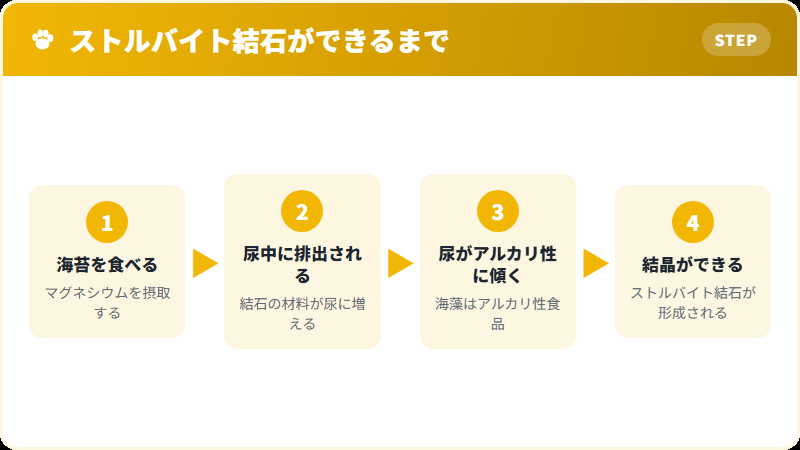 海苔のマグネシウムが猫の尿路結石を作るまでの仕組み