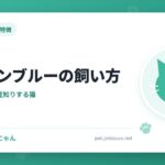 ロシアンブルーの飼い方