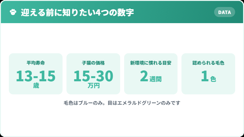 ロシアンブルーを迎える前に知っておきたい4つの数字