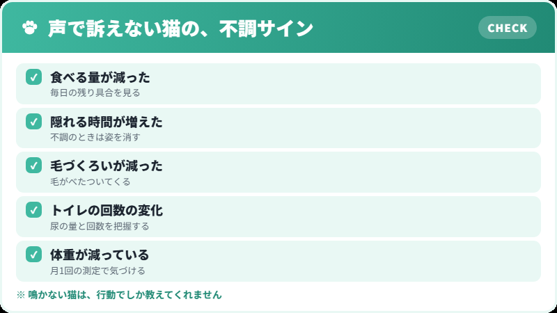 静かな猫の不調サイン チェックリスト