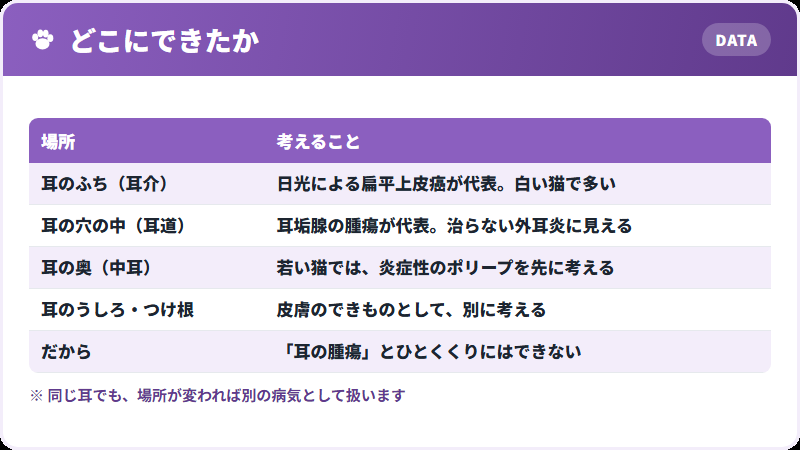 場所で分ける