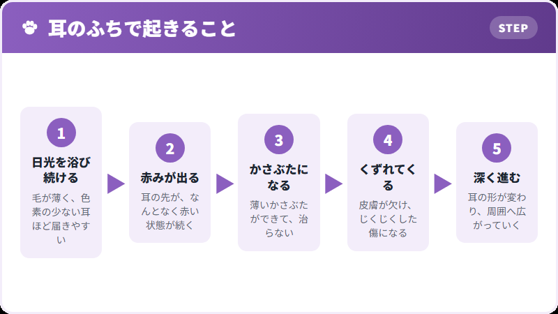 日光による進み方