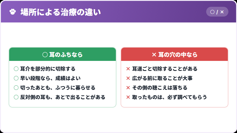 治療の考え方