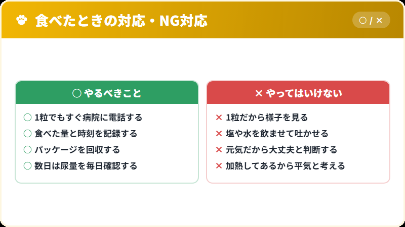 猫がレーズンを食べたときの正しい対応とNG対応