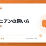 ポメラニアンの飼い方