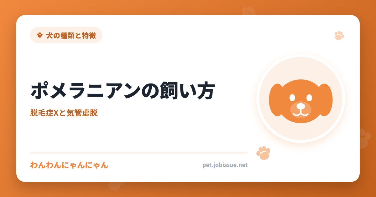 ポメラニアンの飼い方