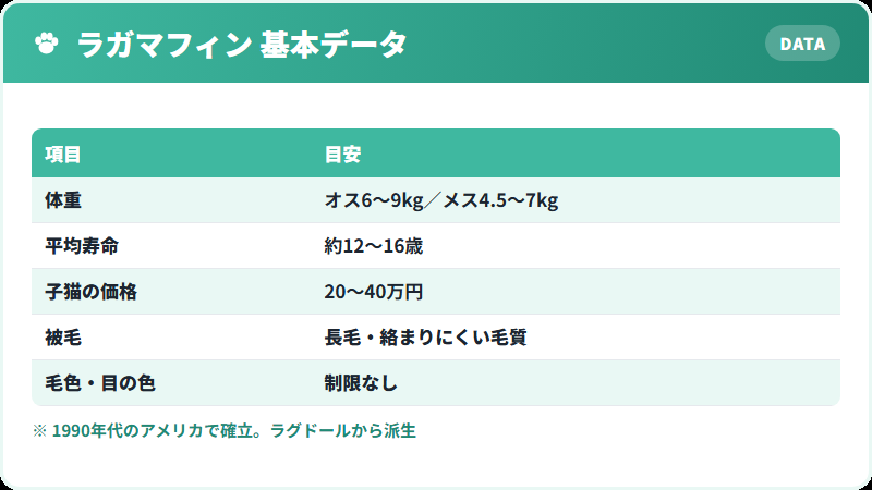 ラガマフィンの基本データ 体重・寿命・価格の一覧