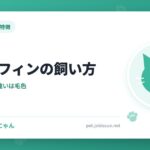 ラガマフィンの飼い方