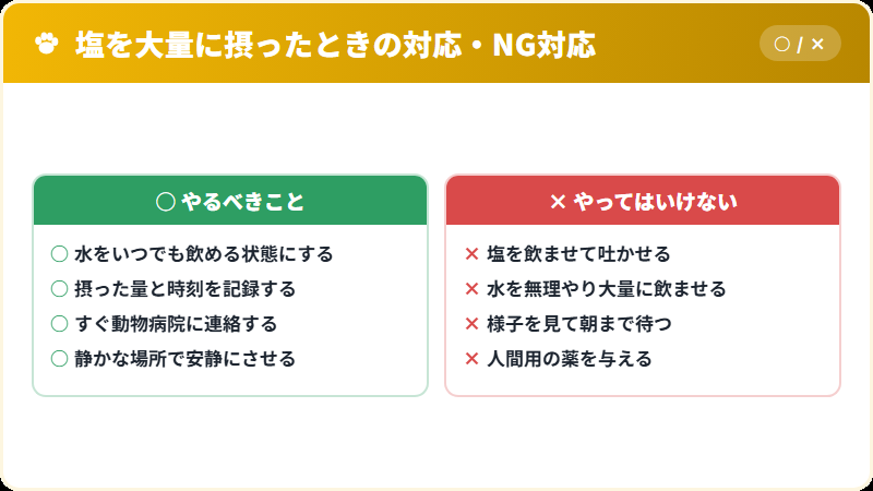 猫の急性塩中毒を疑うサインと正しい対応