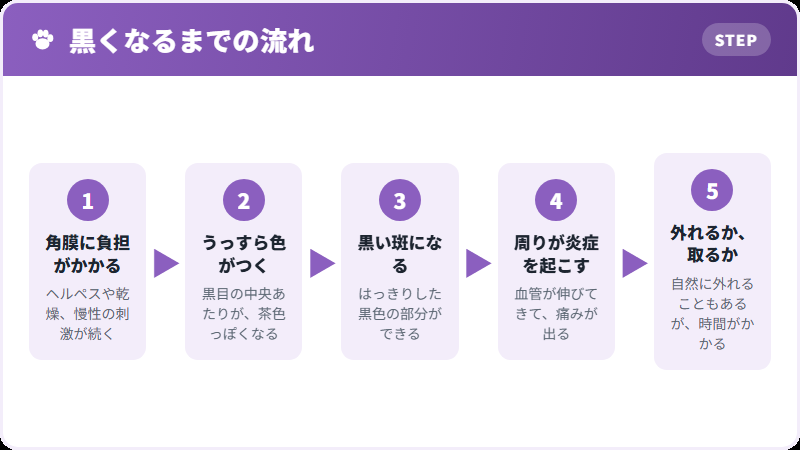 角膜分離症の進み方