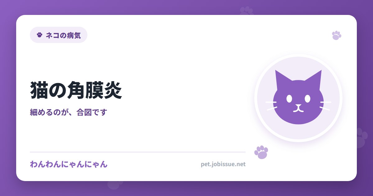 猫の角膜炎