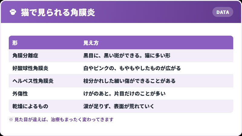 角膜炎の形