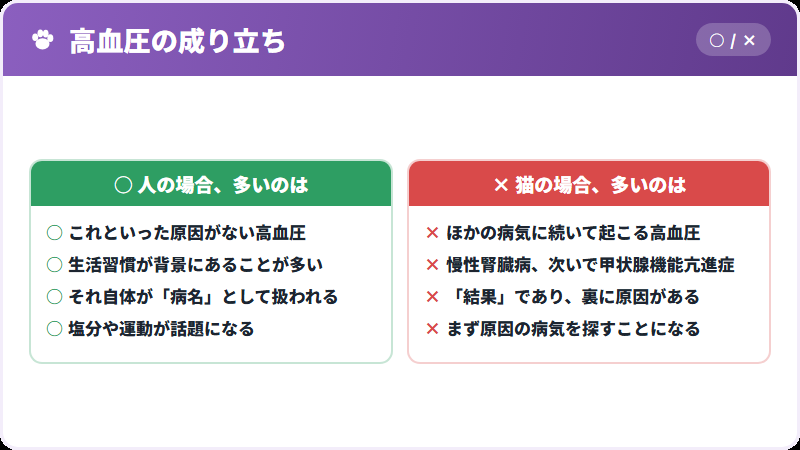 人の高血圧と猫の高血圧