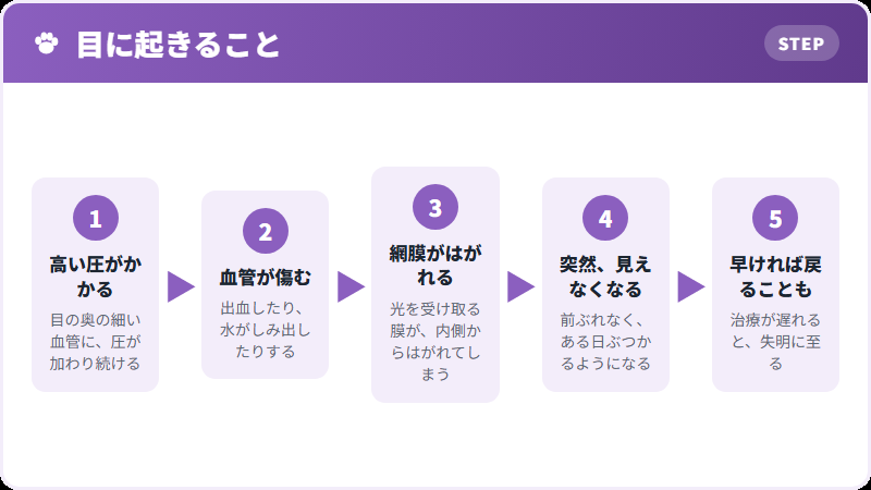 失明までの流れ