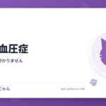 猫の高血圧症
