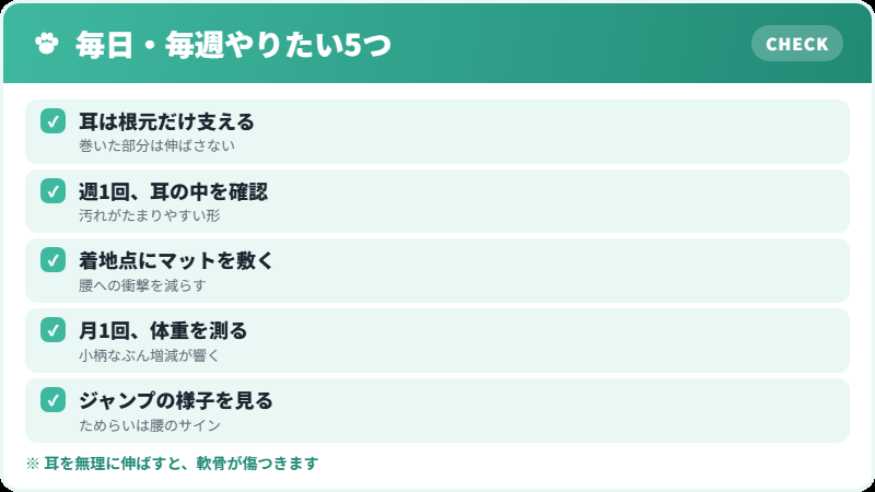 キンカローの日々のケア チェックリスト