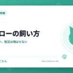 キンカローの飼い方