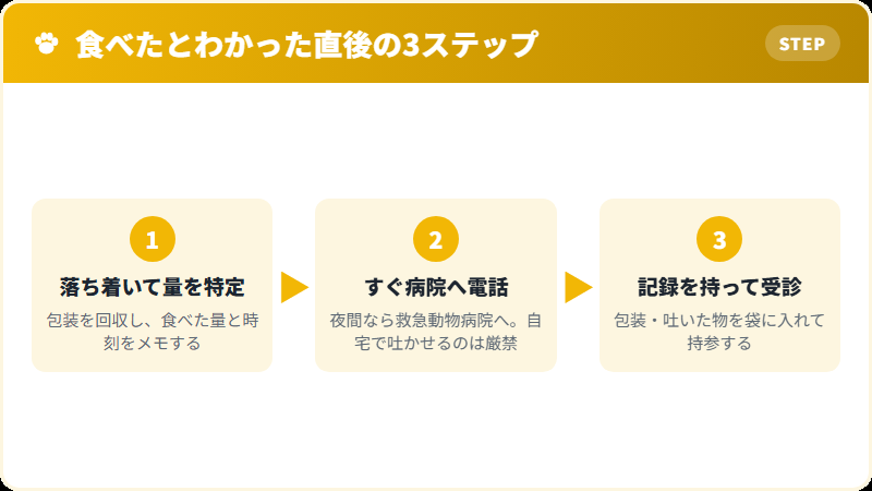 猫がチョコレートを食べた直後にやるべき3ステップ