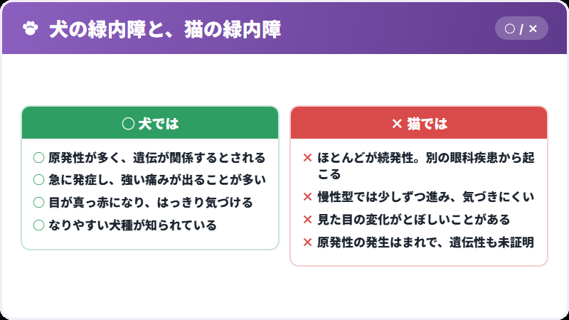 犬との違い