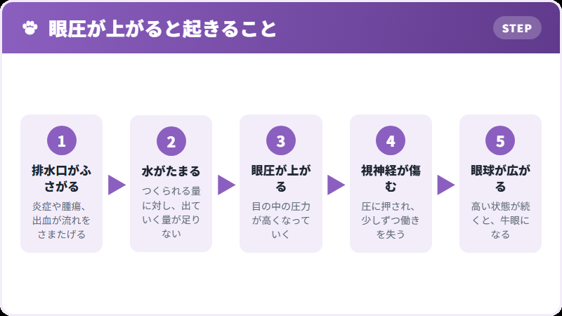 目の中で起きること