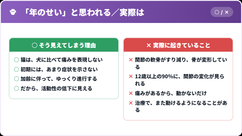 年のせいと痛みの違い