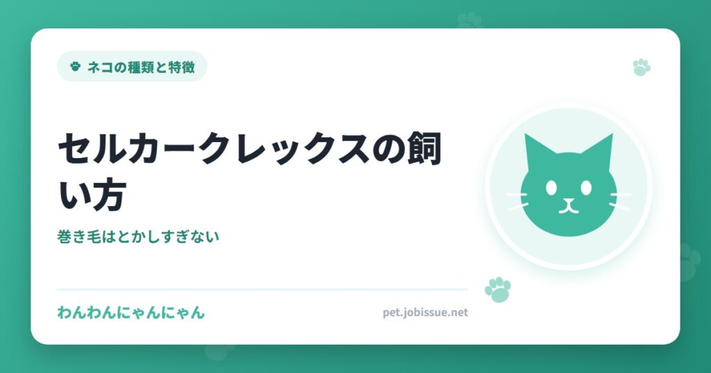 セルカークレックスの飼い方