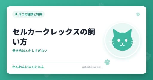 セルカークレックスの飼い方