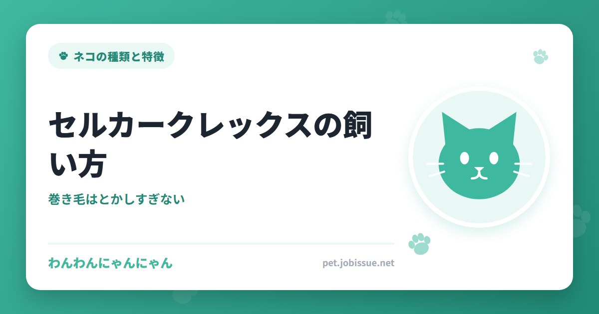 セルカークレックスの飼い方