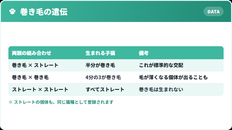巻き毛が生まれる仕組みを示した図