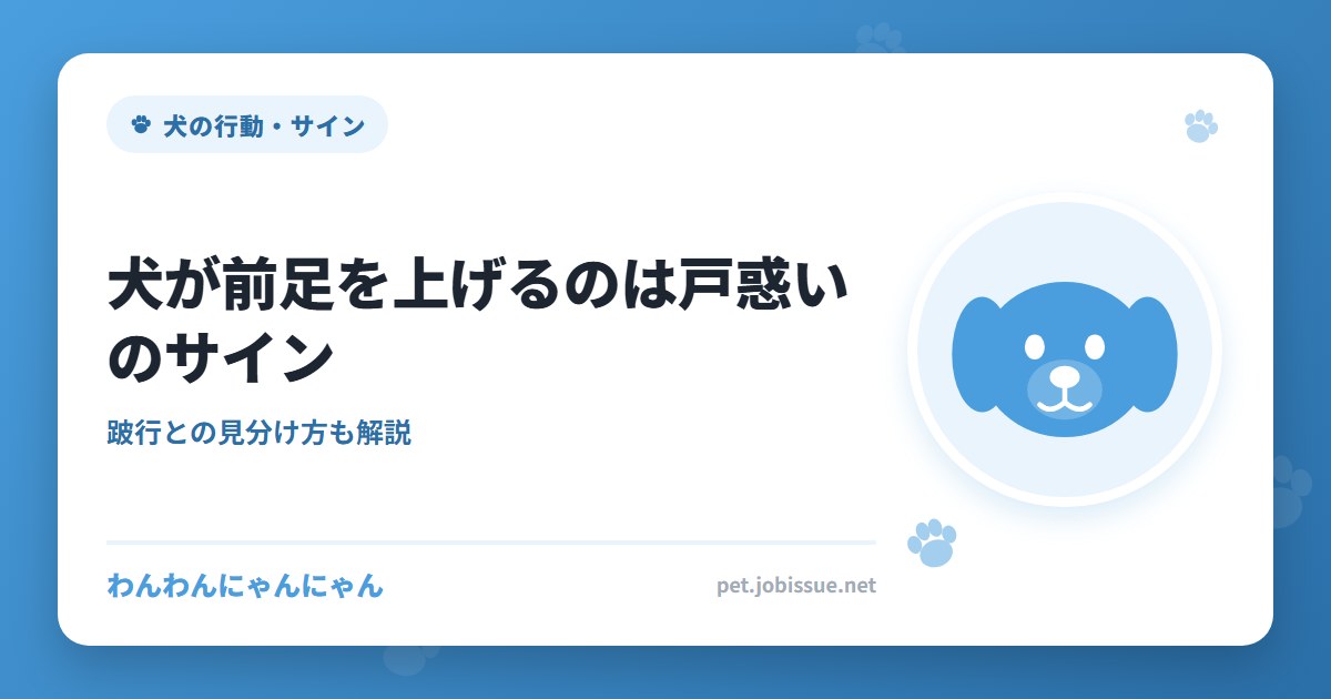 犬が前足を上げるのは戸惑いのサイン