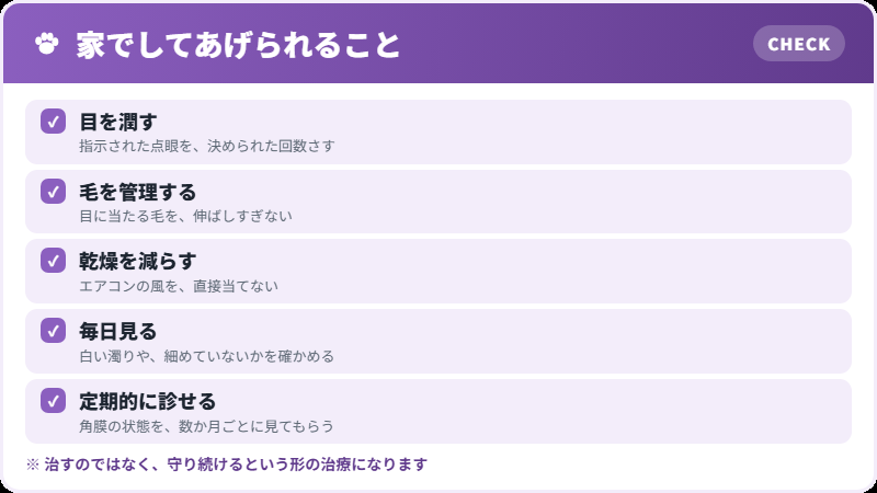 日々の守り方