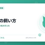 ソマリの飼い方