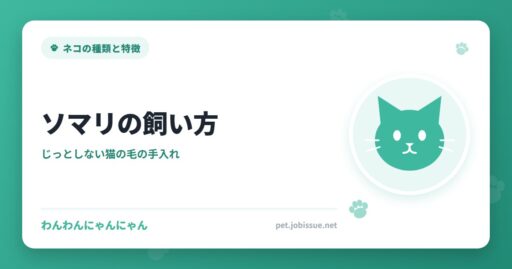 ソマリの飼い方