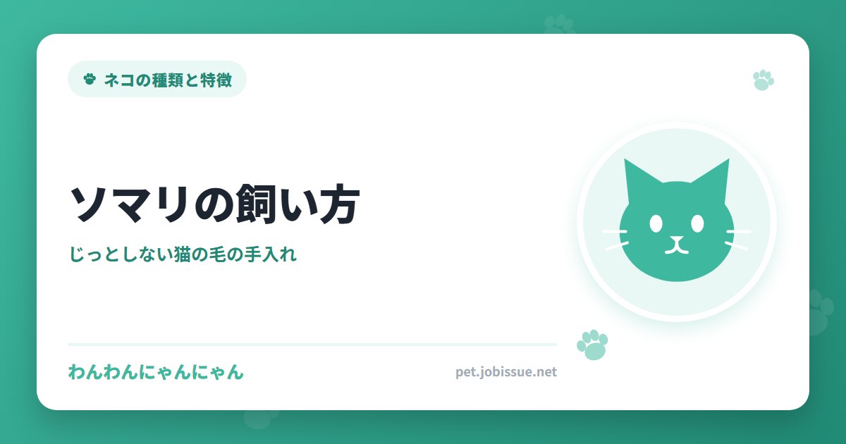 ソマリの飼い方