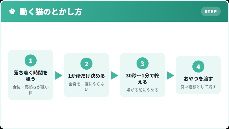 動き回る猫をブラッシングする手順