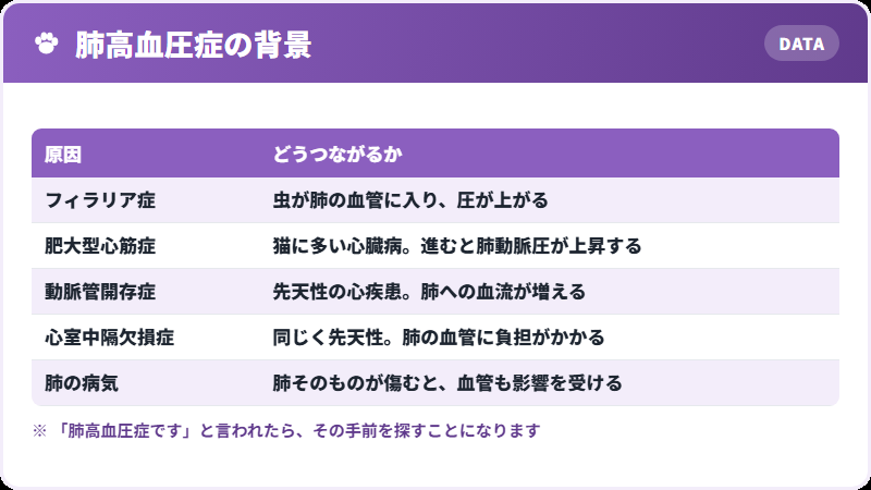 原因になるもの