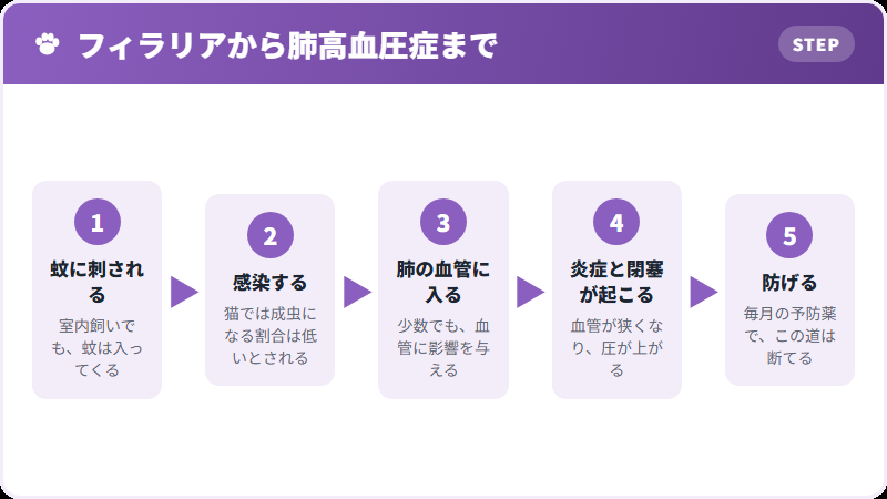 防げる原因