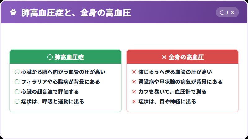 全身の高血圧との違い