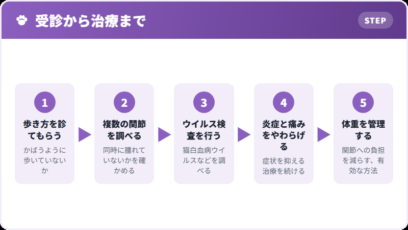診断と治療の流れ