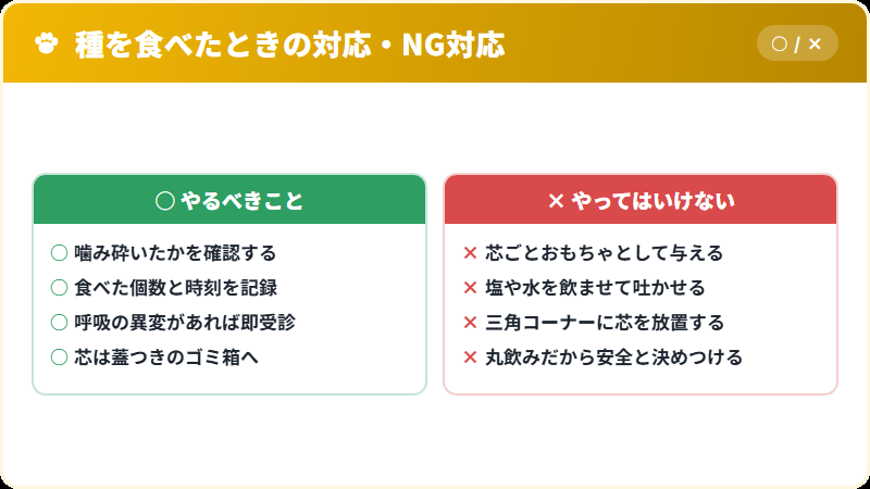 猫がリンゴの種を食べたときの正しい対応とNG対応