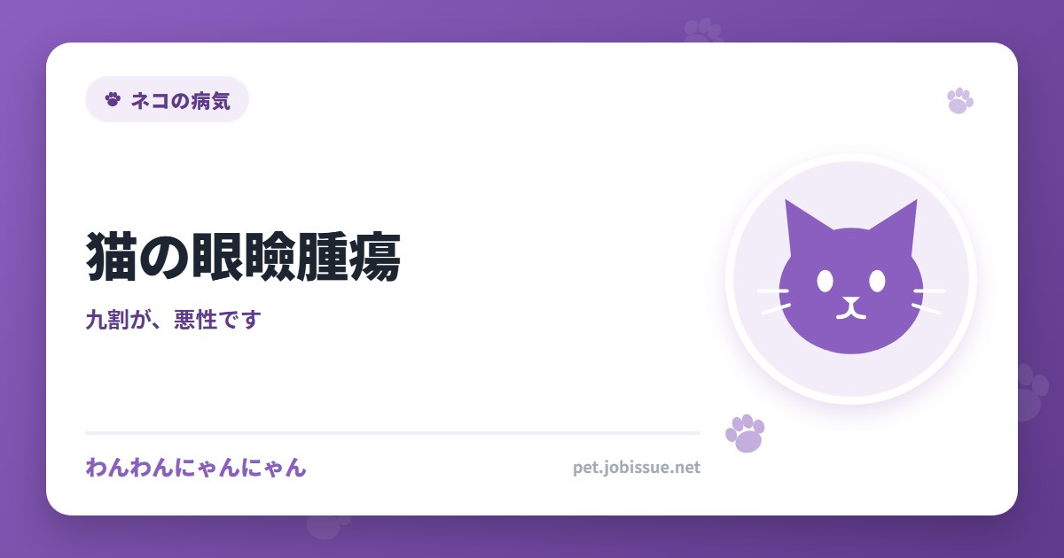 猫の眼瞼腫瘍
