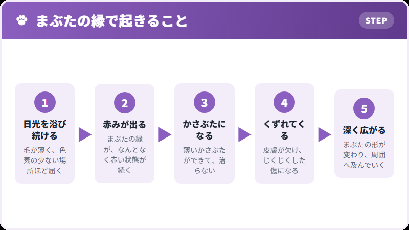 日光による進み方