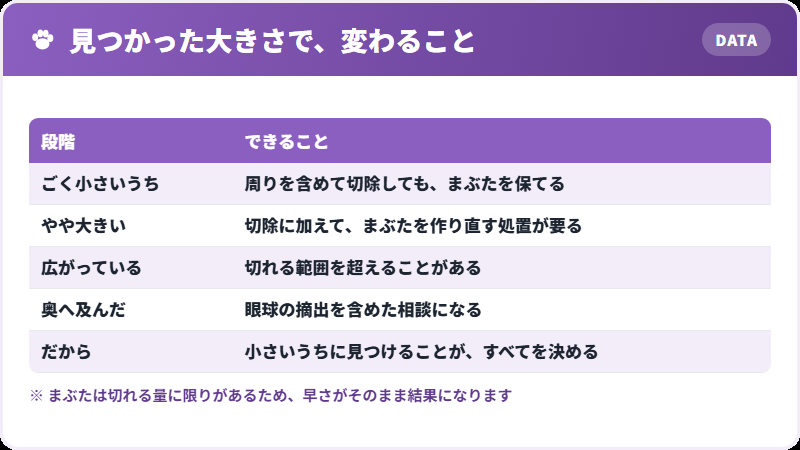 治療と早さ