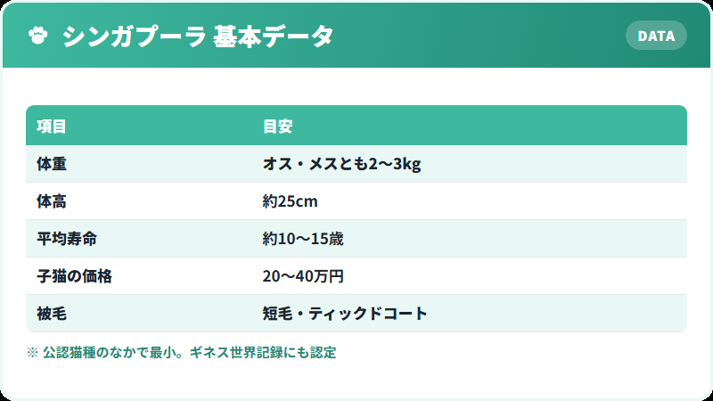 シンガプーラの基本データ 体重・寿命・価格の一覧