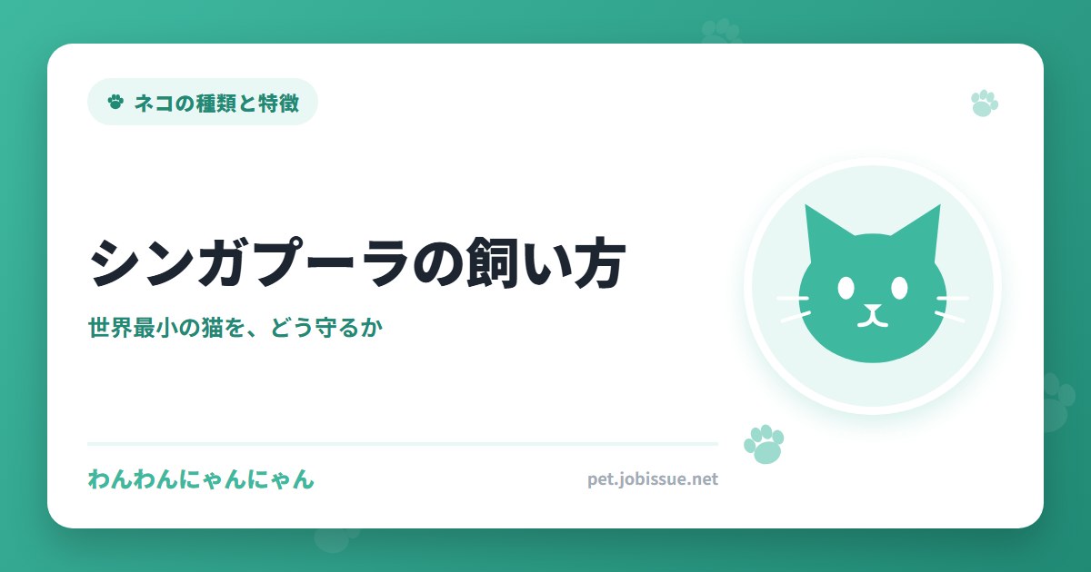 シンガプーラの飼い方